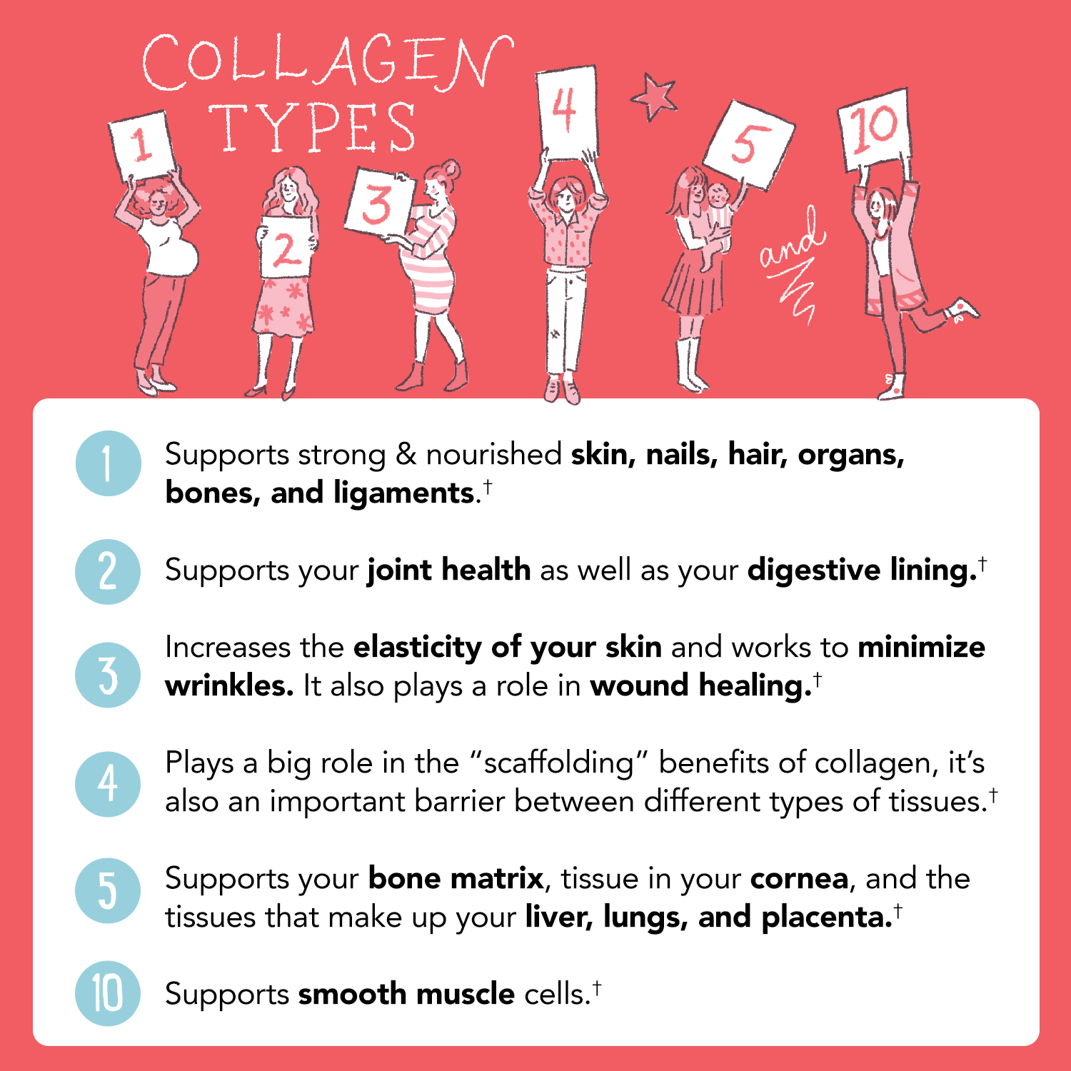 Multi Collagen Protein