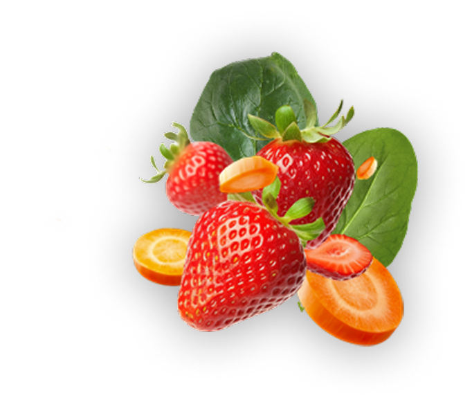 files/Agrupar_10_d8dce7ff-e4d9-4958-a7fc-e73c69cab845.png