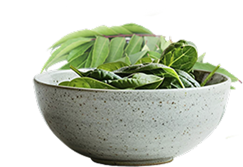 files/spinach-leaves-falling-into-bowl-white-background.png
